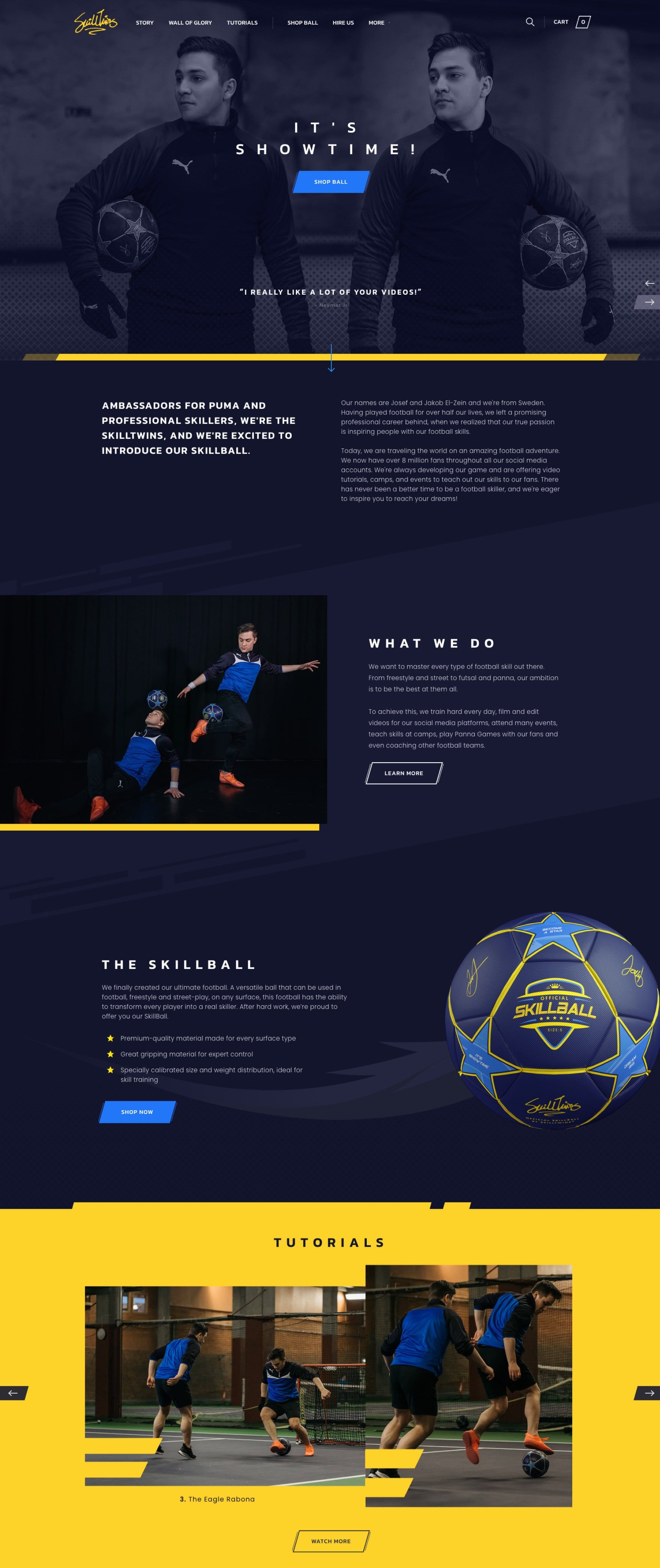 skilltwins website design