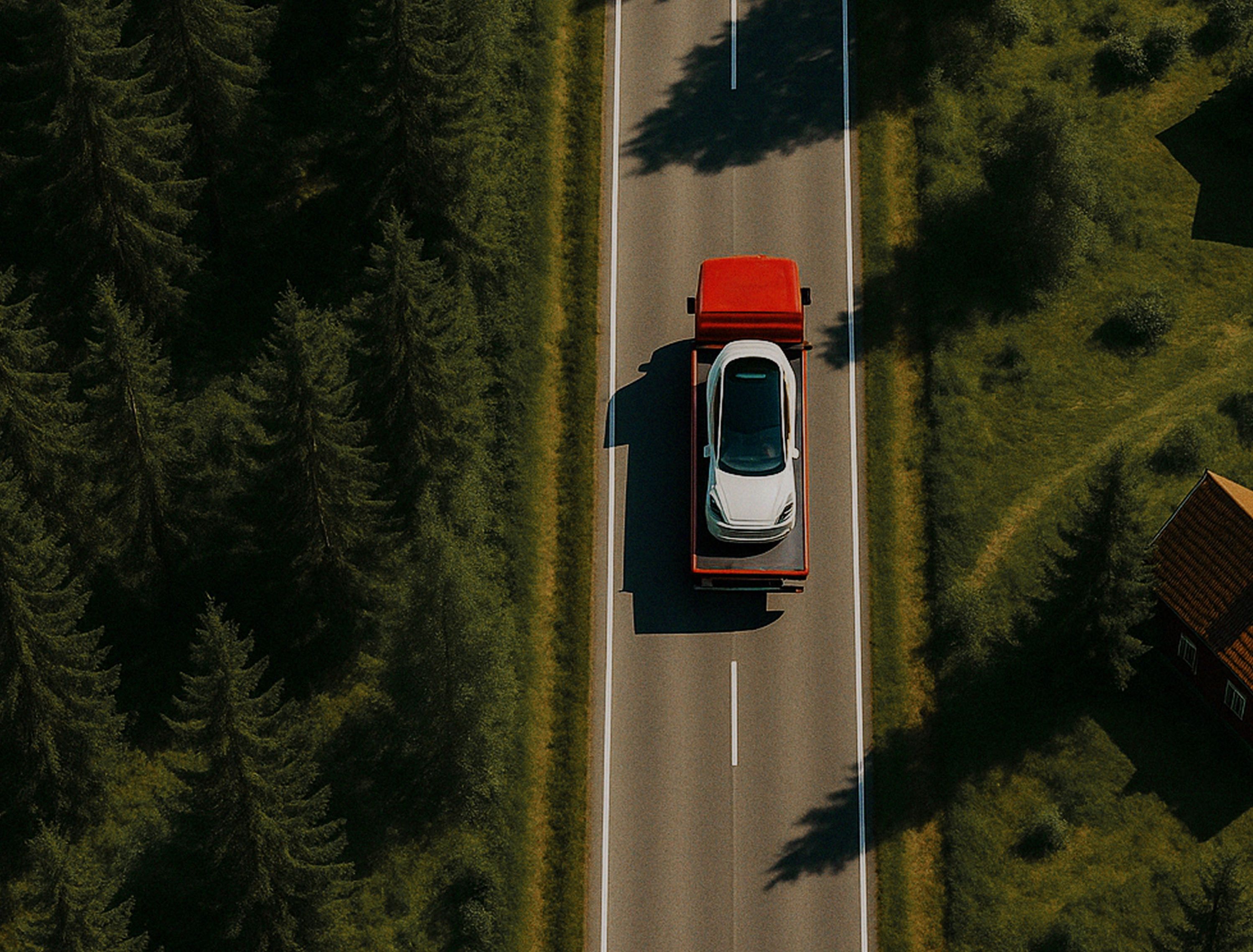 Elvio website design