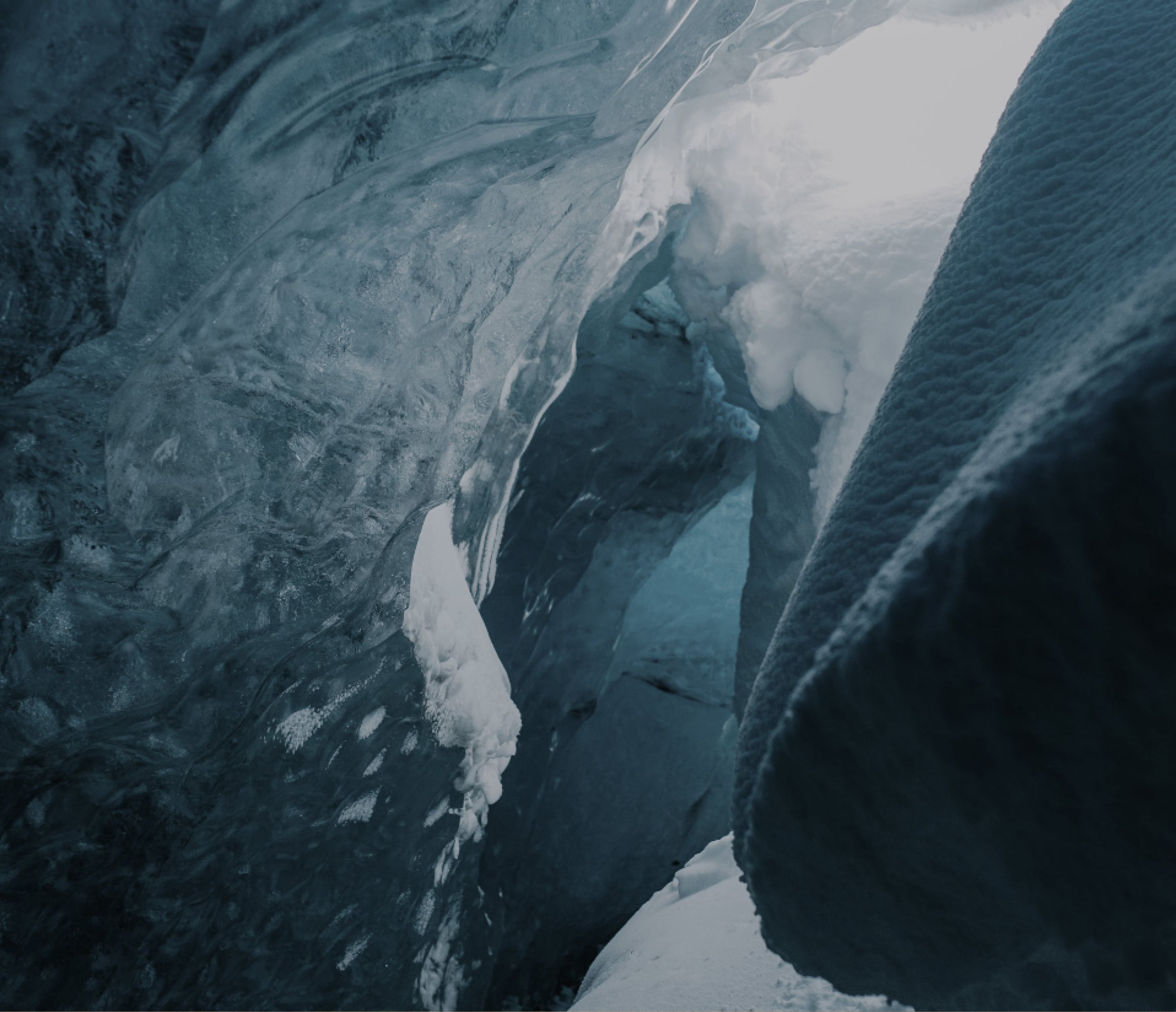 Carbon Revision website design