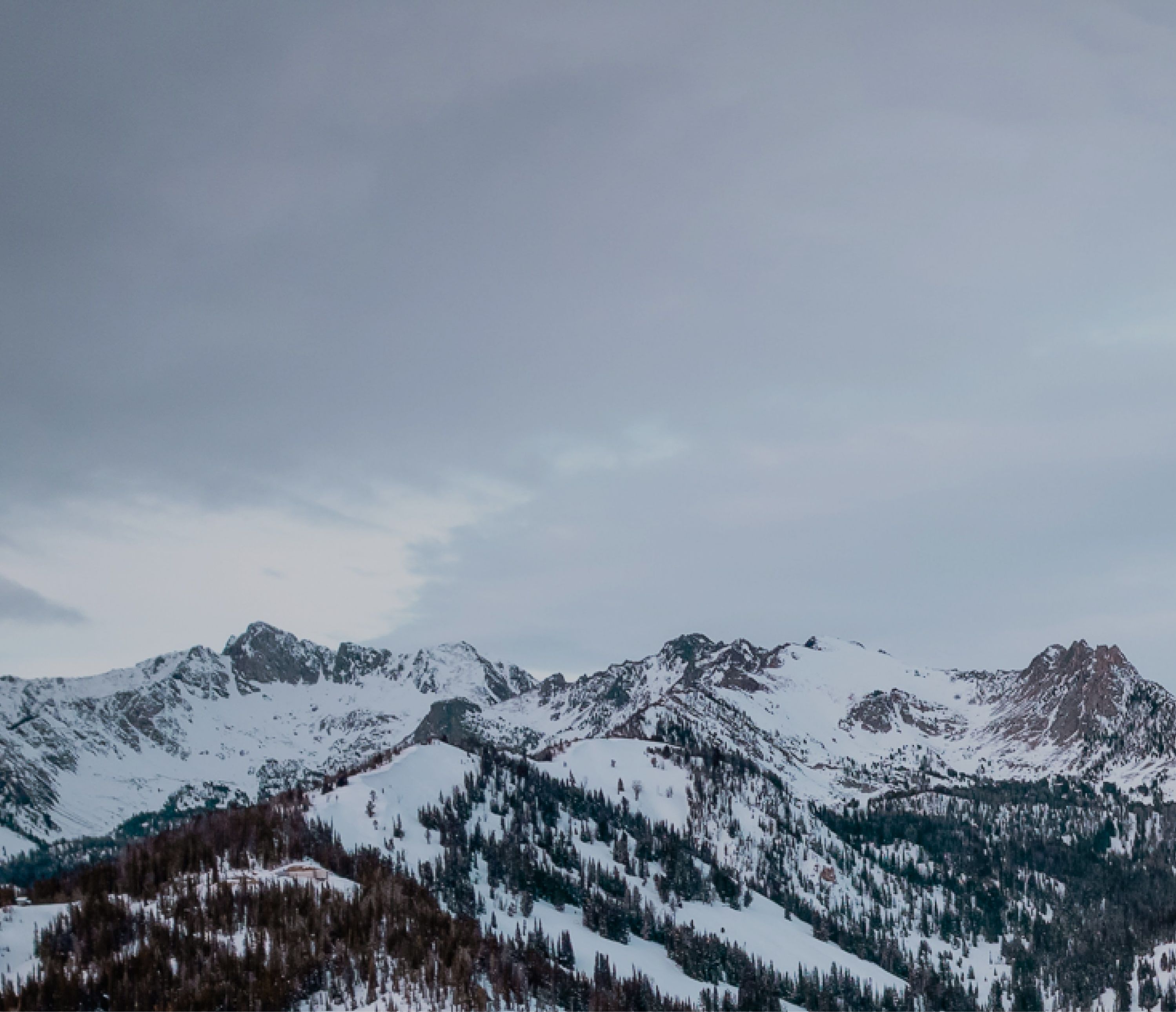 Beehive basin website design