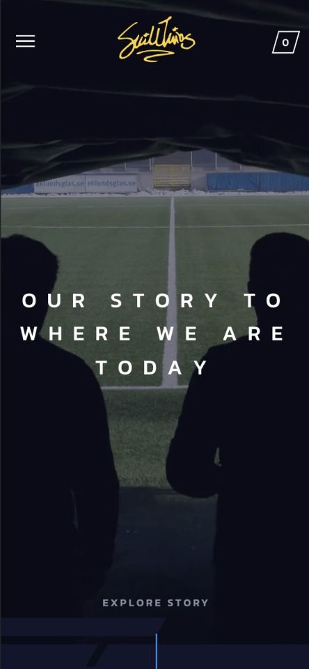 skilltwins story page