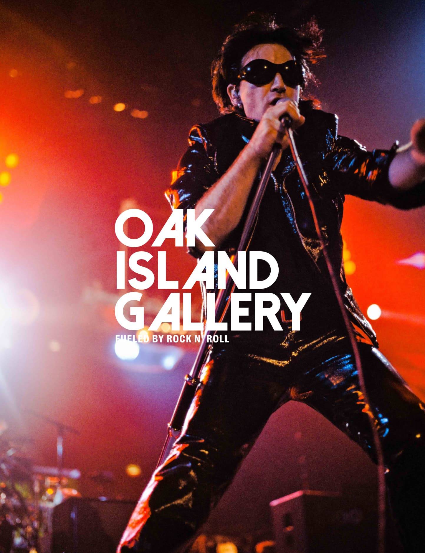 oakisland website design