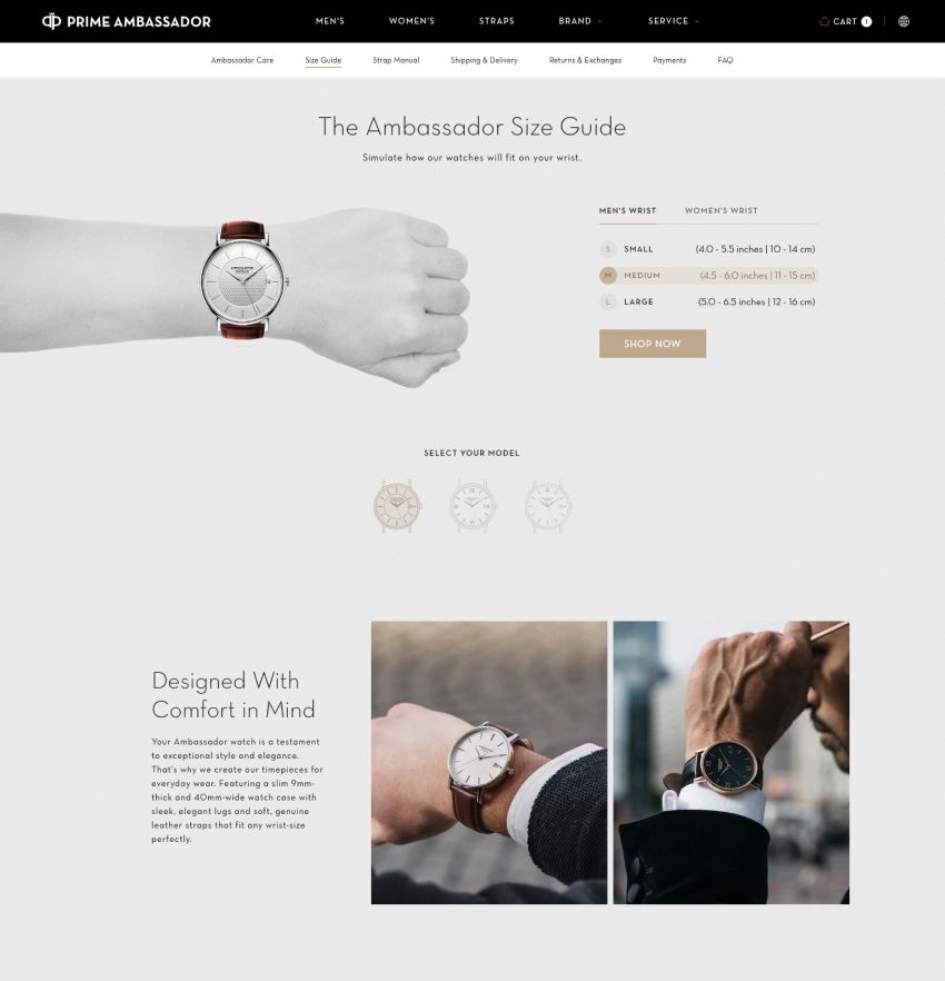 prime ambassador story page